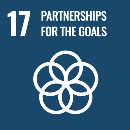 Sustainable-development-goal-17