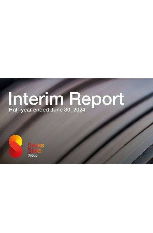 Interim report